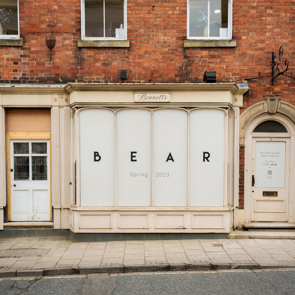 Introducing: BEAR Ashbourne!