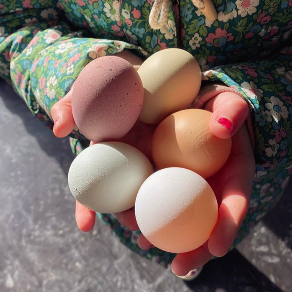 Introducing: Cacklebean Eggs