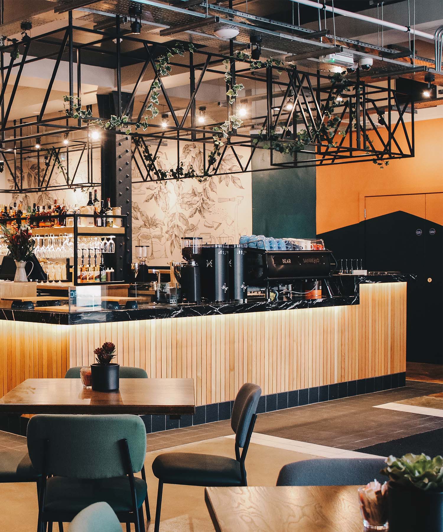 BEAR Iron Gate store, December 2017