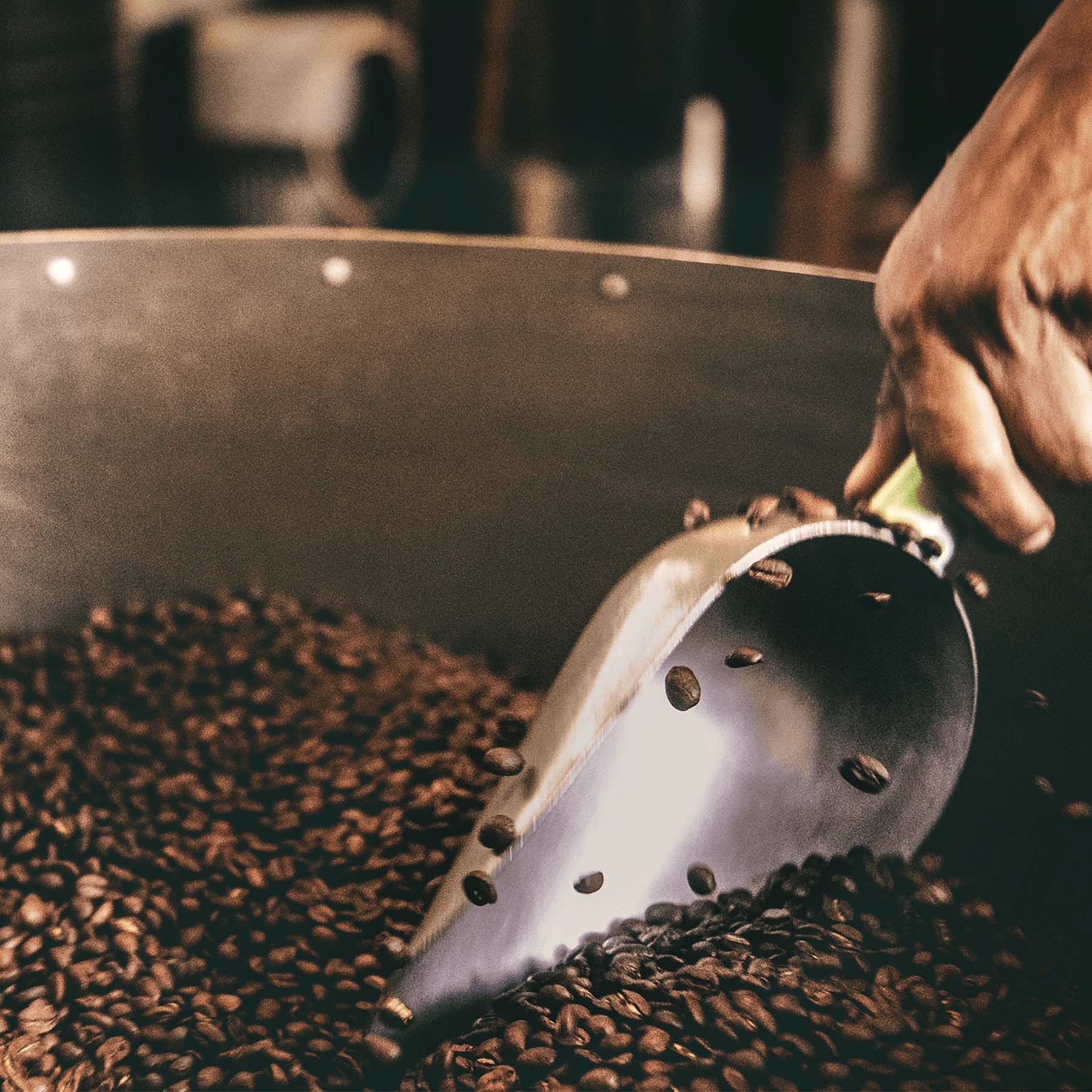 About BEAR. Discover better coffee