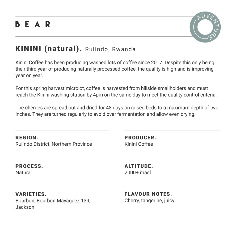 Kinini (natural), Rwanda - Bulk Box, Compostable Nespresso® BEAR Coffee Pods